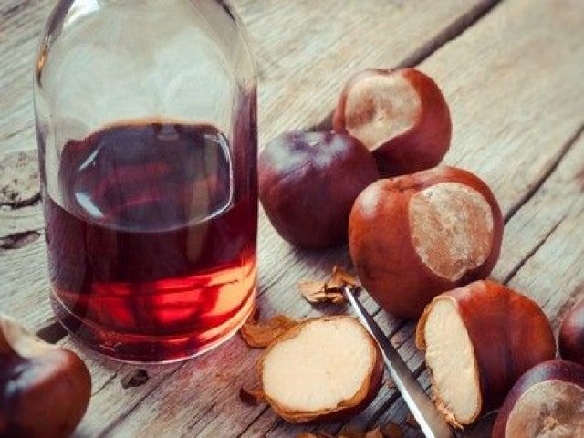 Chestnut tincture: medicinal properties and contraindications