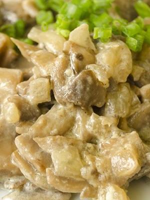 Chicken breast with champignons: delicious recipes