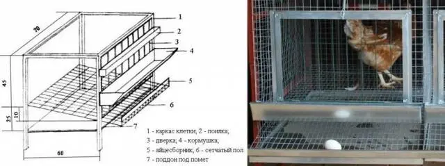 Chicken cage sizes: photo + drawings 