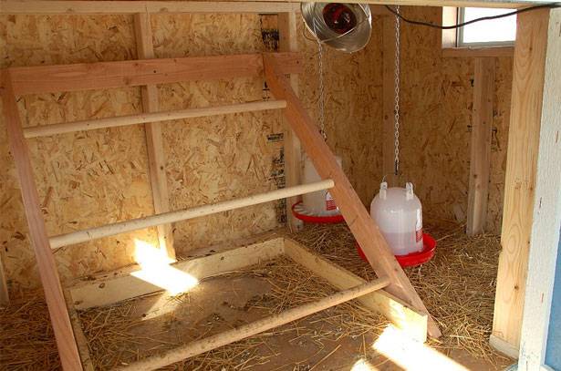 Chicken coop for laying hens