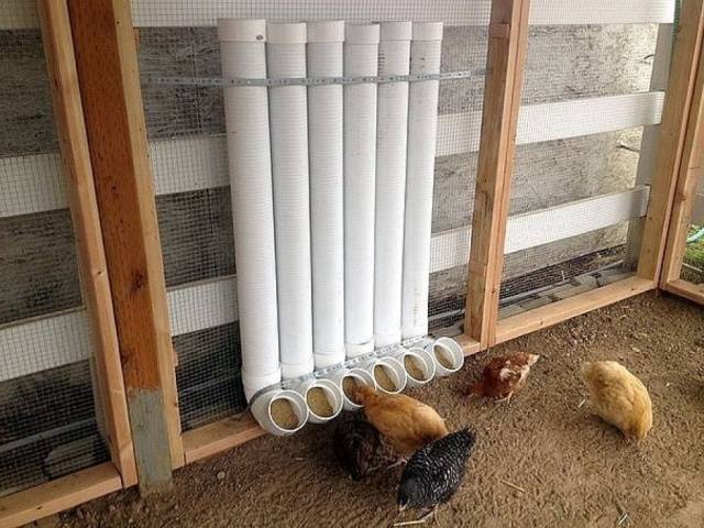 Chicken coop for laying hens