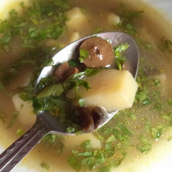 Chicken soup with champignons and vermicelli: step by step recipes with photos