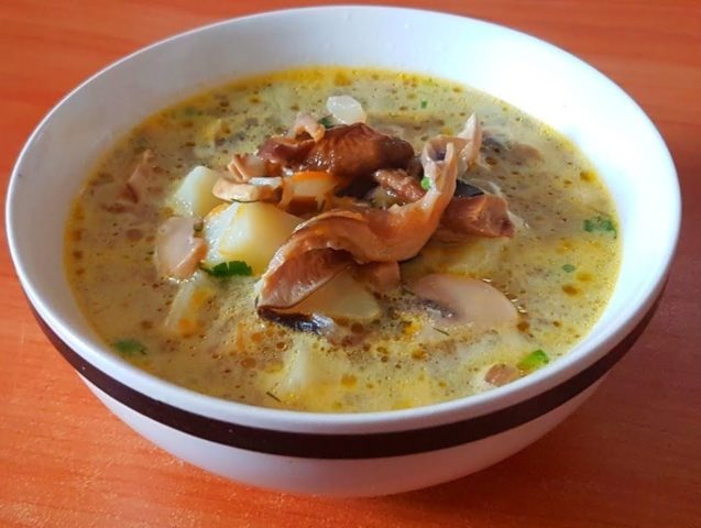 Chicken soup with champignons and vermicelli: step by step recipes with photos