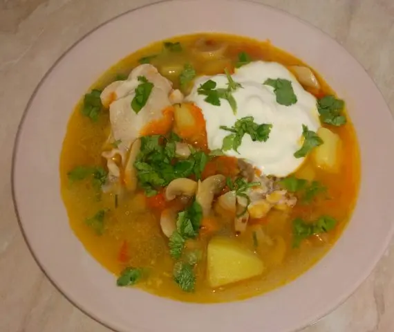 Chicken soup with champignons (mushroom bowl): delicious recipes from fresh, frozen, canned mushrooms