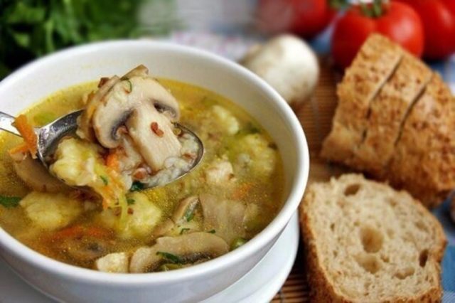 Chicken soup with champignons (mushroom bowl): delicious recipes from fresh, frozen, canned mushrooms