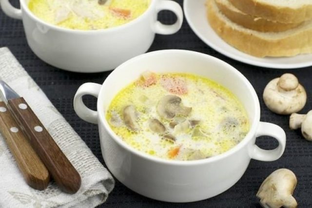 Chicken soup with champignons (mushroom bowl): delicious recipes from fresh, frozen, canned mushrooms