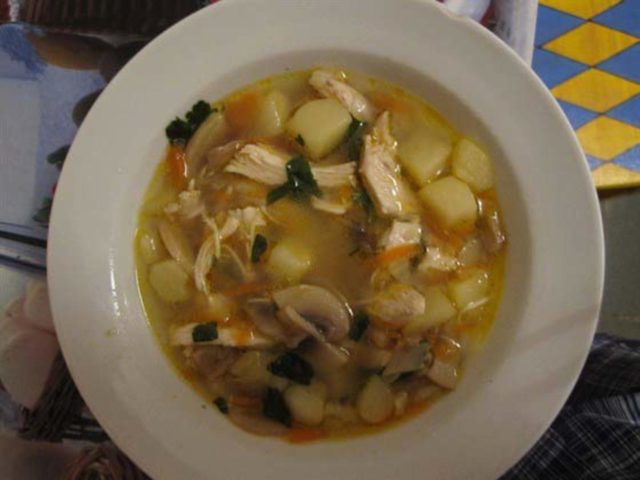 Chicken soup with champignons (mushroom bowl): delicious recipes from fresh, frozen, canned mushrooms