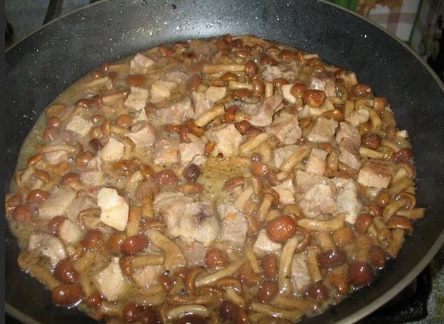 Chicken with honey mushrooms: in a pan, in the oven, in a slow cooker