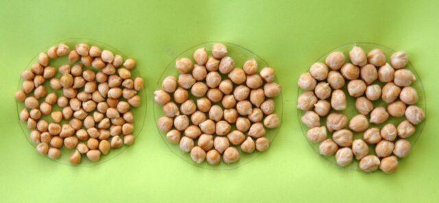 Chickpeas and peas: what is the difference, what is healthier, what is better