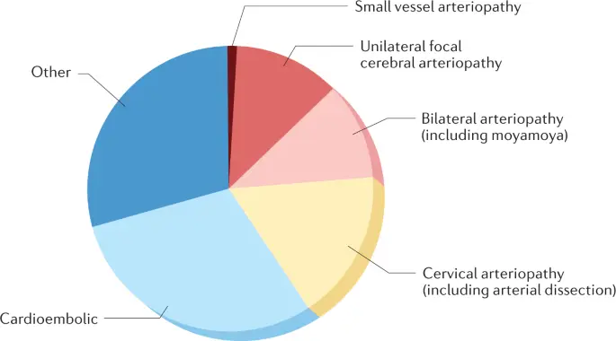 Childhood stroke. How much does rehabilitation cost?