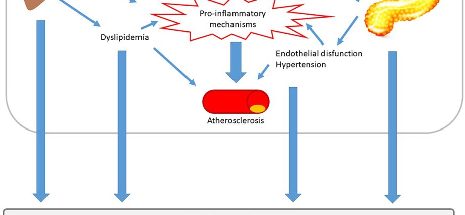 Children with metabolic syndrome learn less