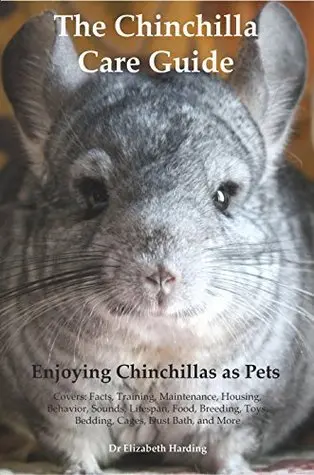 Chinchilla at home: breeding, maintenance and care, reviews