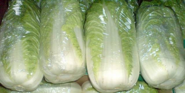 Chinese cabbage in a greenhouse: cultivation and care