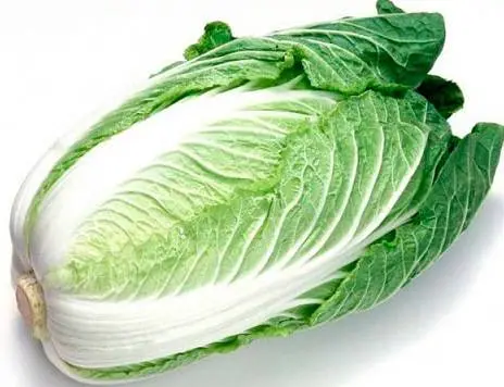 Chinese cabbage in a greenhouse: cultivation and care