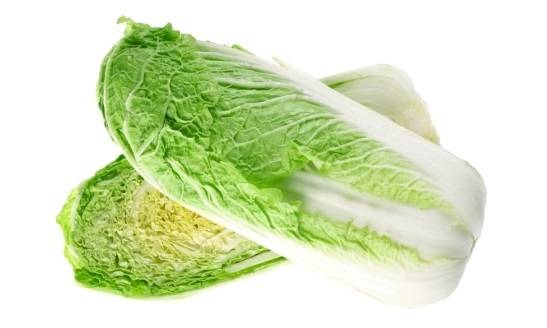 Chinese cabbage in a greenhouse: cultivation and care