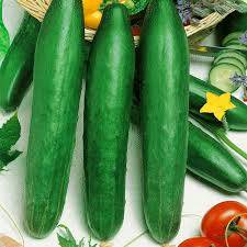 Chinese cucumbers for open ground