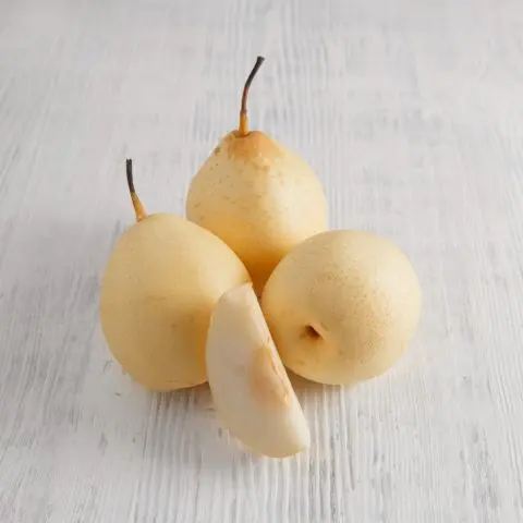 Chinese pear: benefits and harms