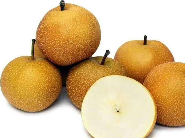 Chinese pear: benefits and harms