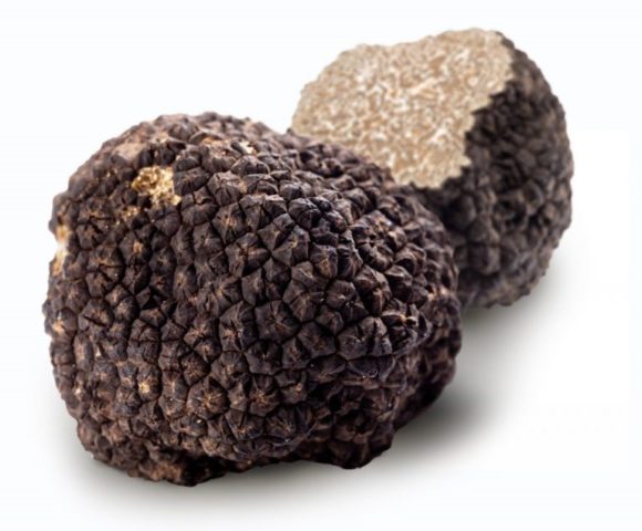 Chinese truffles: what are they called in dried form, edibility ...