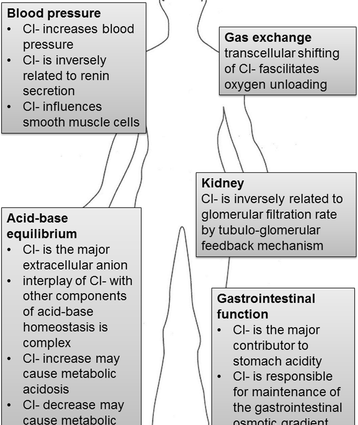 Chlorine &#8211; norms, interpretation of results, causes of hyperchloraemia