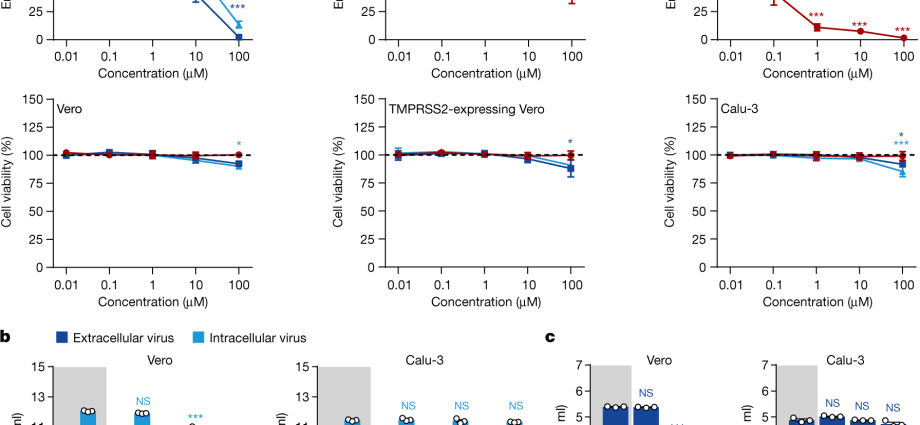 Chloroquine, however, ineffective against COVID-19? Scientists: Doesn&#8217;t protect lung cells