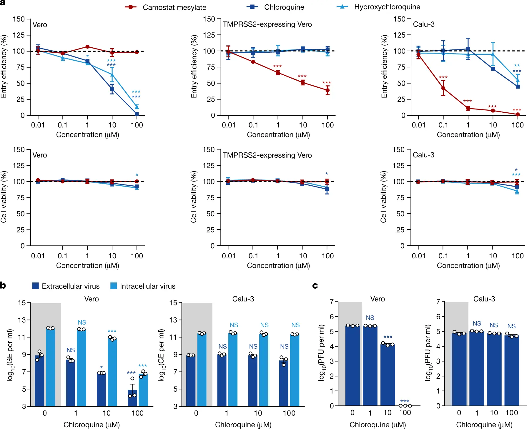 Chloroquine, however, ineffective against COVID-19? Scientists: Doesn&#8217;t protect lung cells