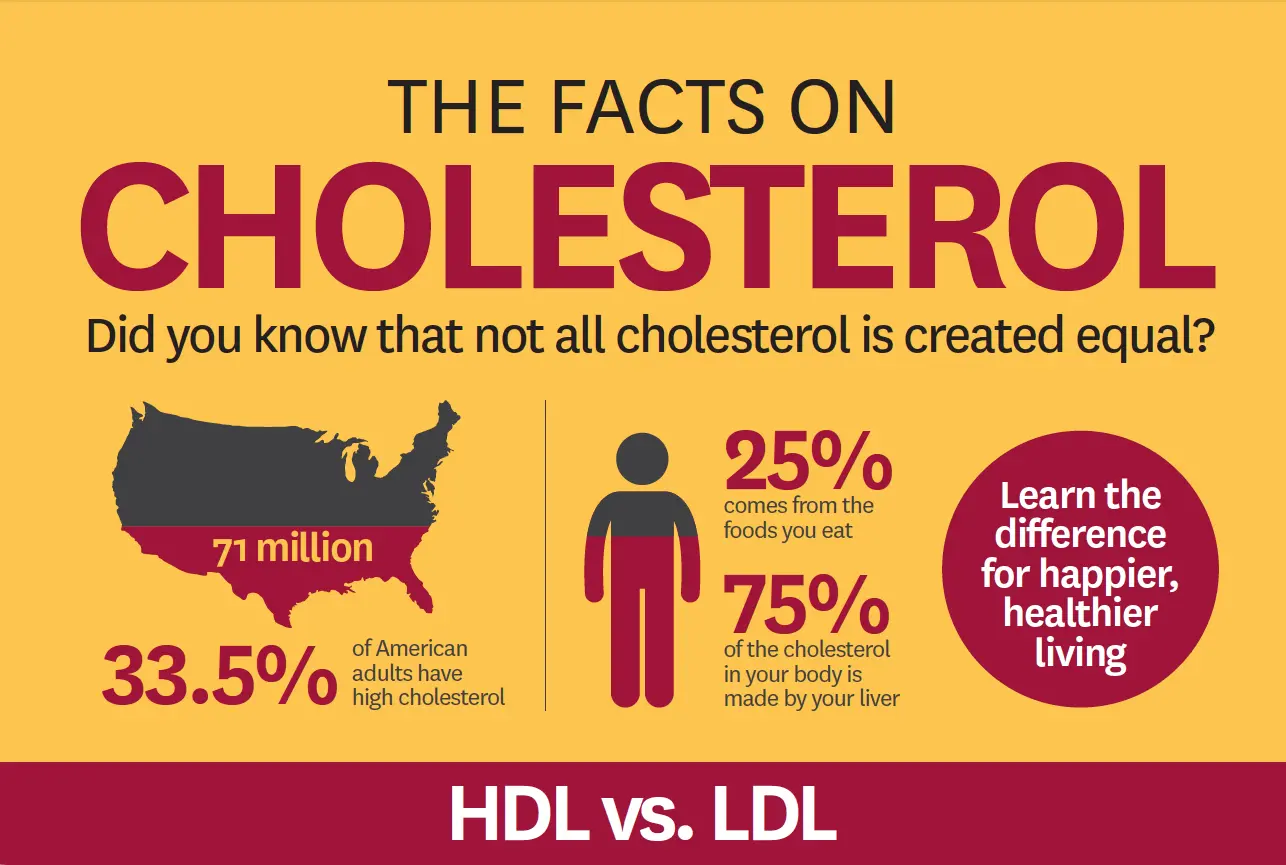 Cholesterol &#8211; research and results. What&#8217;s the difference between good cholesterol and bad cholesterol?