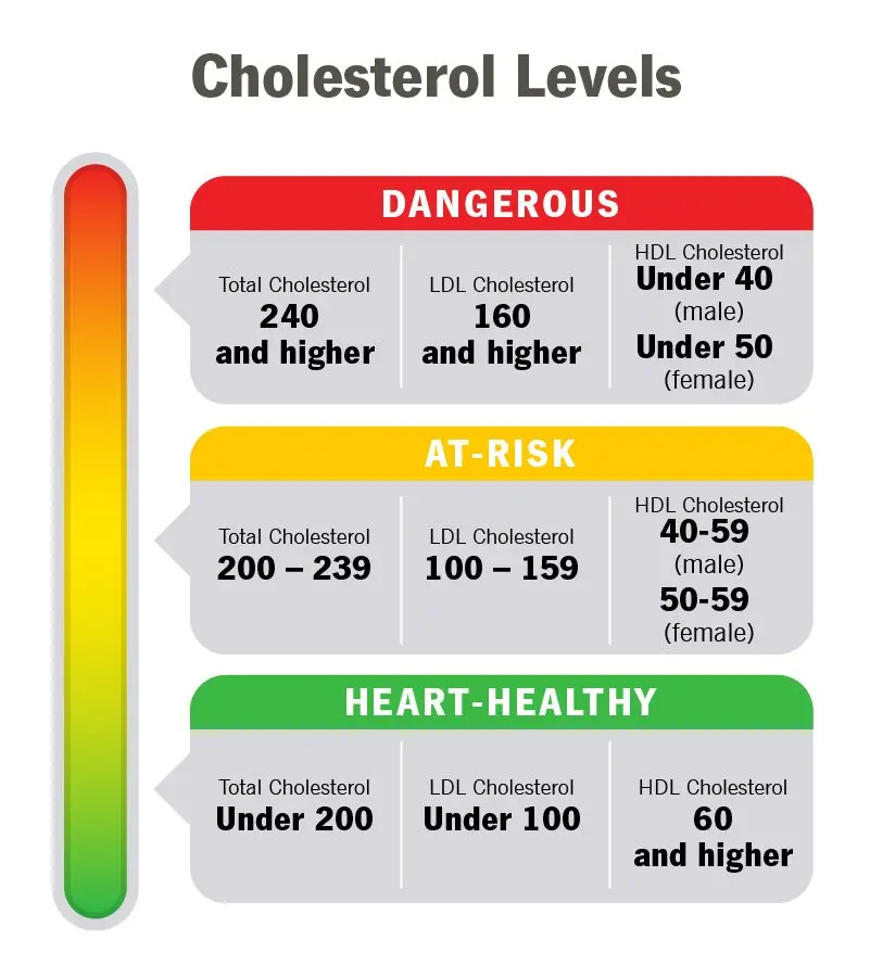 Cholesterol &#8211; when to test? Blood cholesterol norms