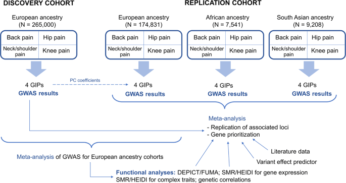 Chronic pain can be genetic