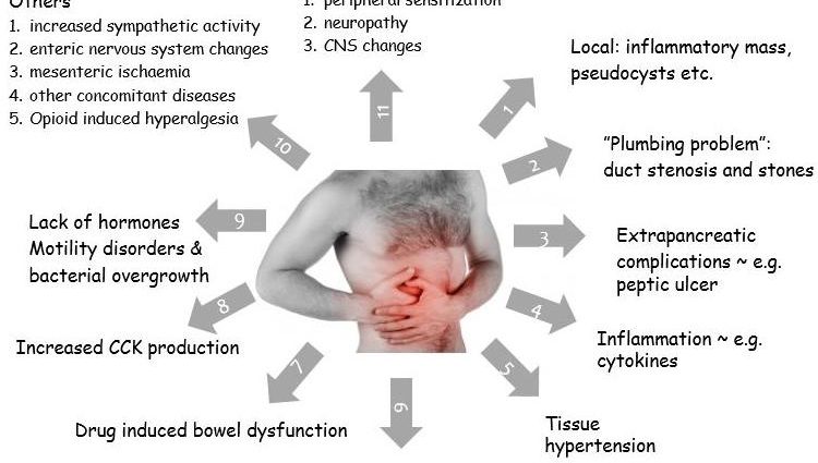 Chronic pancreatitis &#8211; causes, symptoms, drug treatment