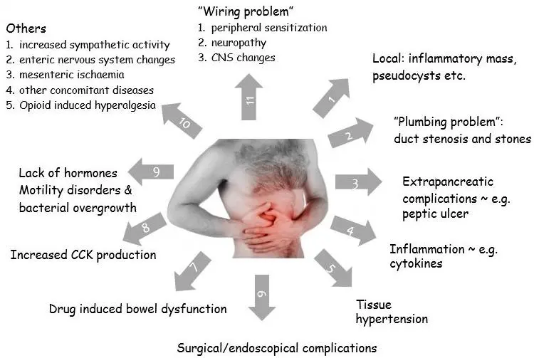 Chronic pancreatitis &#8211; causes, symptoms, drug treatment