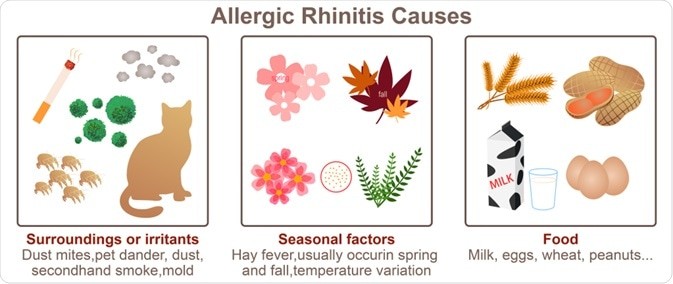 Chronic rhinitis and its types