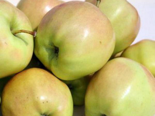 Chudnoe apple tree: variety description, benefits and tree care