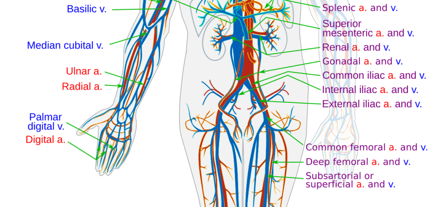 Circulatory collapse