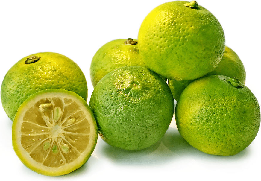 Citrus fruits: 34 common species with descriptions and photos + general ...