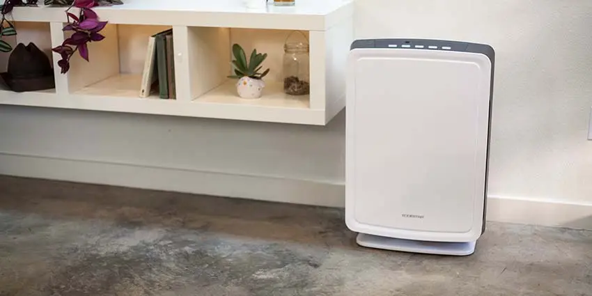 Clean air is the basis for well-being. How to choose an air purifier for the whole year?