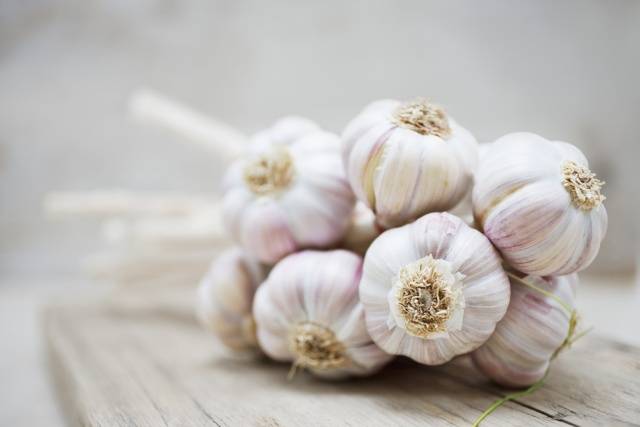 Cleaning and storing garlic at home 