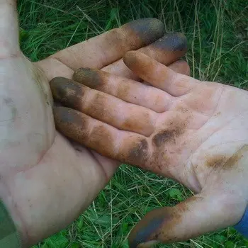 Cleaning hands after oiling: simple recipes