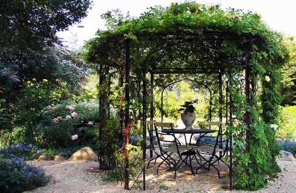 Climbing plants for the gazebo (flowering, weaving, winter-hardy): do-it-yourself planting + photos of the best types of vines