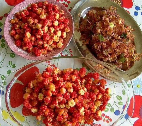 Cloudberry compote for the winter