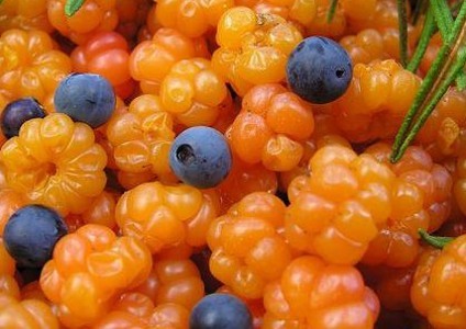 Cloudberry compote for the winter