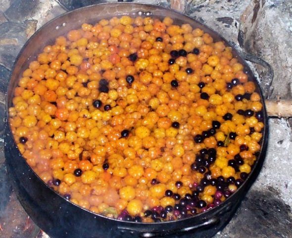 Cloudberry compote for the winter