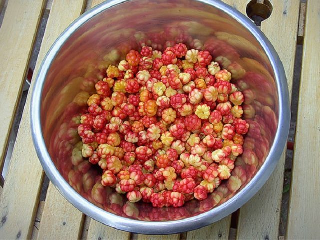 Cloudberry Recipes for the Winter