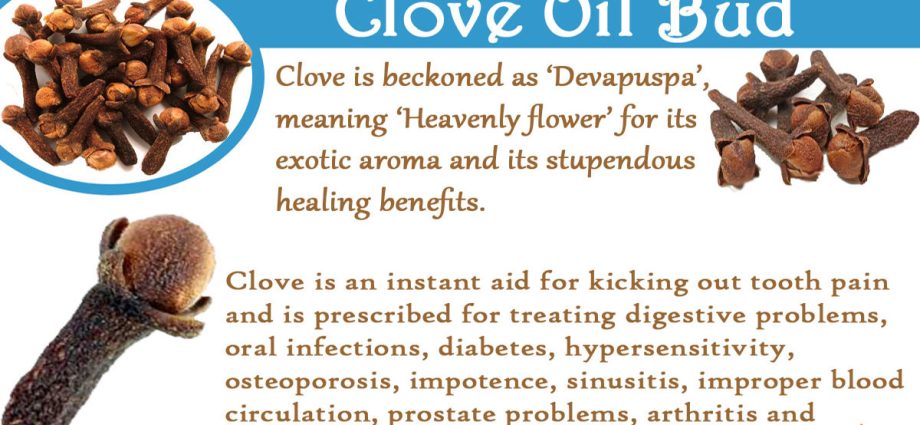 Clove oil &#8211; composition, healing properties, application