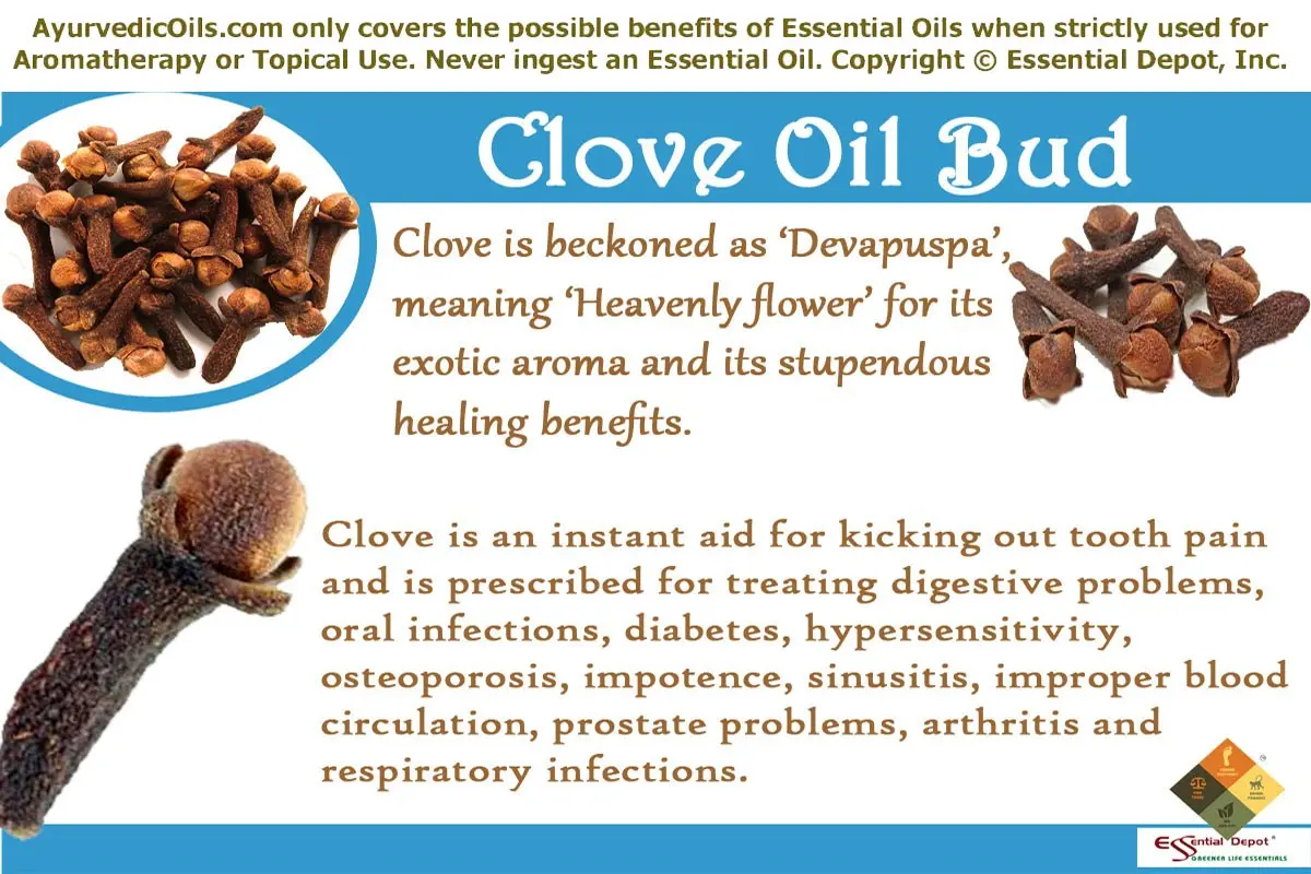 Clove oil &#8211; composition, healing properties, application