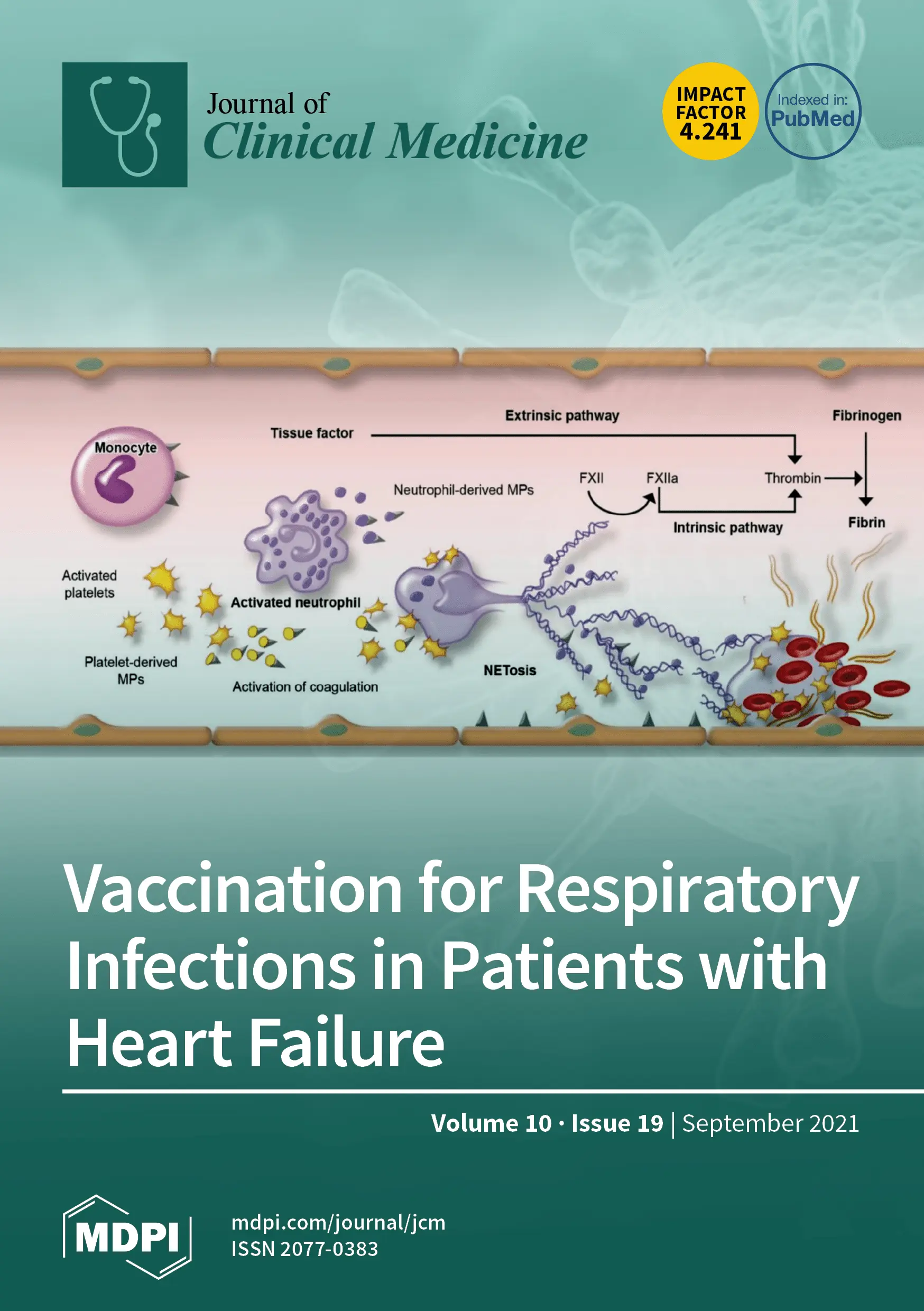 Coexisting diseases of Krzysztof Krawczyk. How could they affect the course of COVID-19?