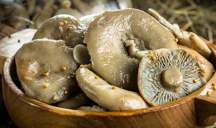 Cold and hot salting of mushrooms with vinegar for the winter