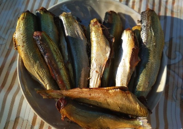 Cold and hot smoked herring at home