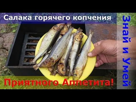 Cold and hot smoked herring at home