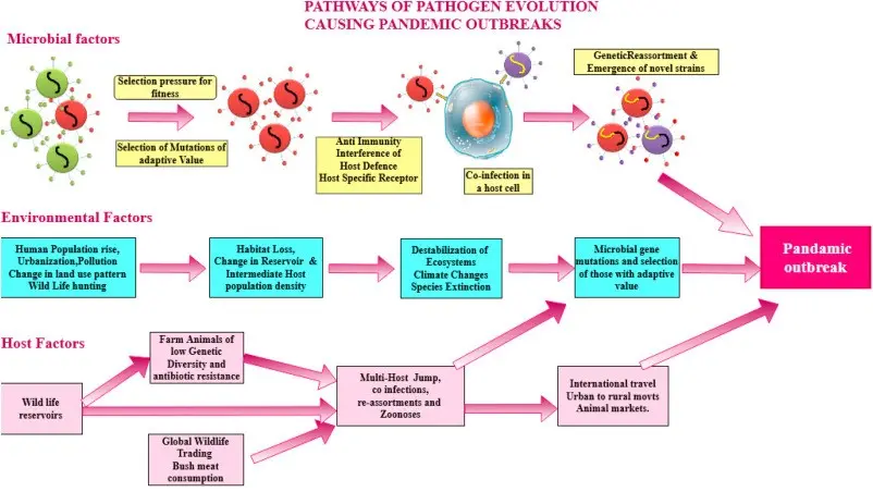 Cold and humid climate is conducive to epidemics of infectious diseases. Does this also apply to the coronavirus pandemic?